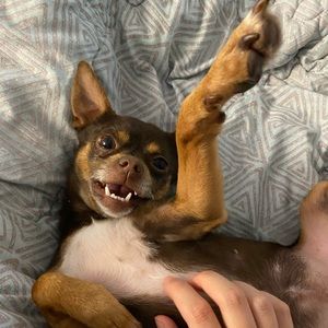 Meet your Posher, Corie